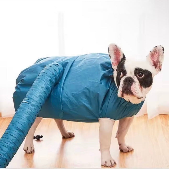 Pup Dry drying bag shown on a French bulldog